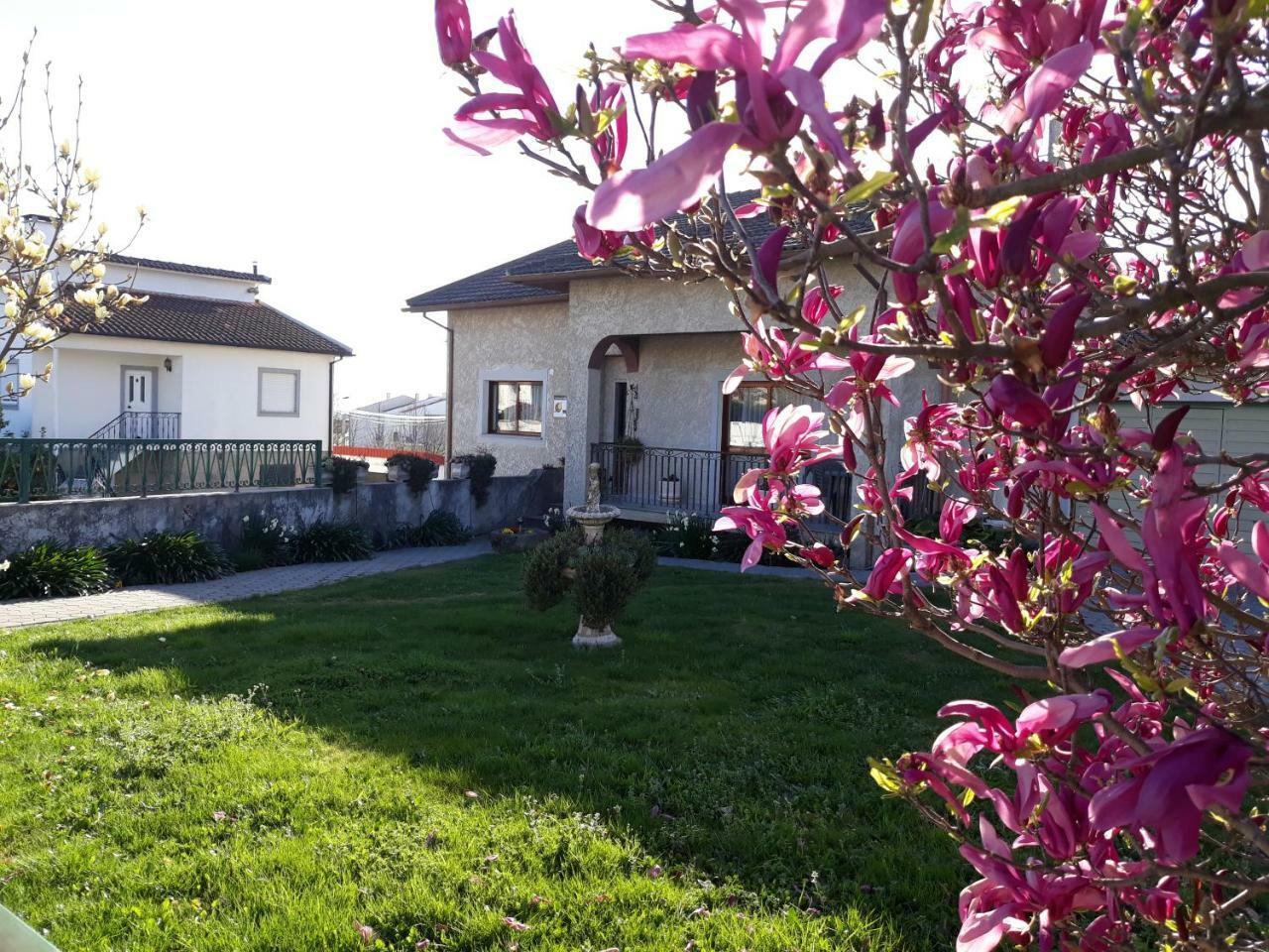 Cynda'S Home Viseu Exterior foto
