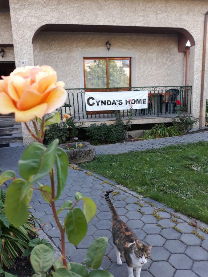 Cynda'S Home Viseu Exterior foto